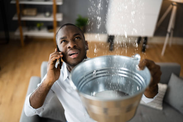 Best Water damage restoration near me  in West Fairview, PA