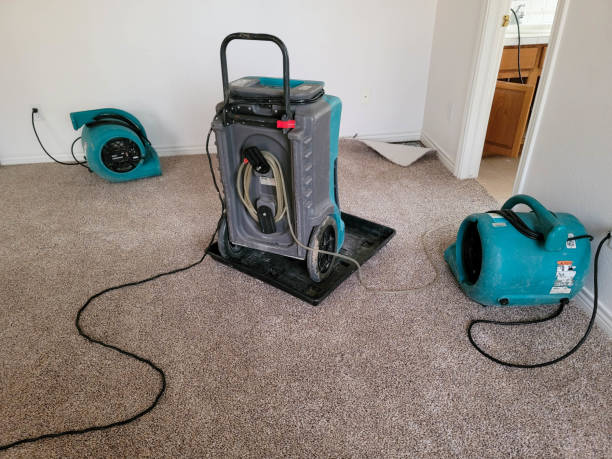  West Fairview, PA Water damage restoration Pros