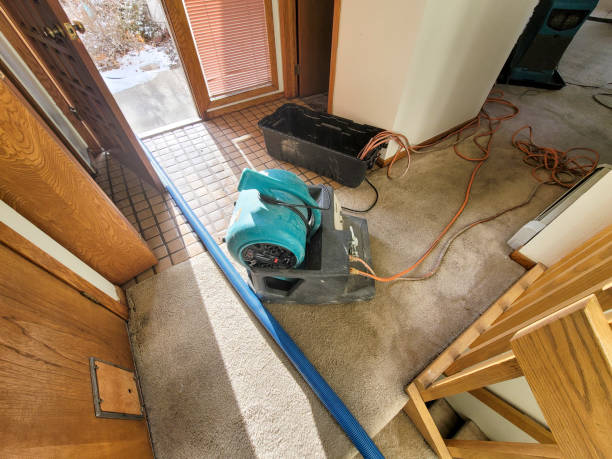 Best Residential water damage restoration  in West Fairview, PA