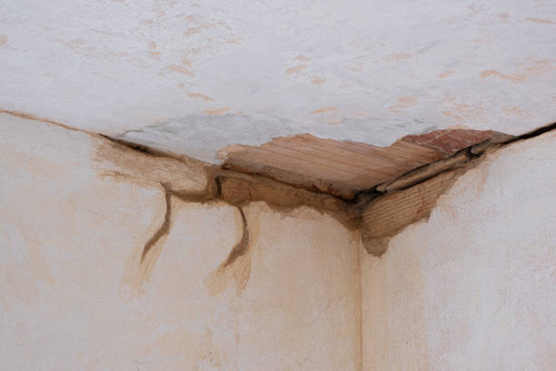 Best Flooded house restoration  in West Fairview, PA