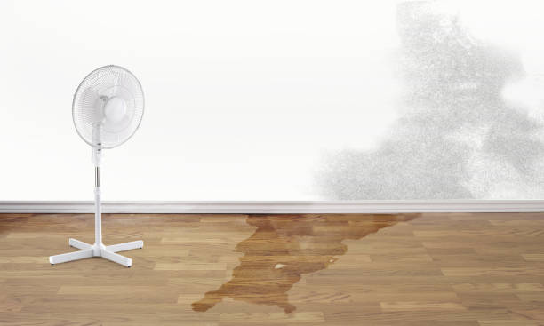 Best Water damage restoration mold remediation  in West Fairview, PA