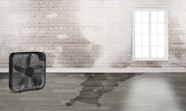 Best Flood restoration services  in West Fairview, PA