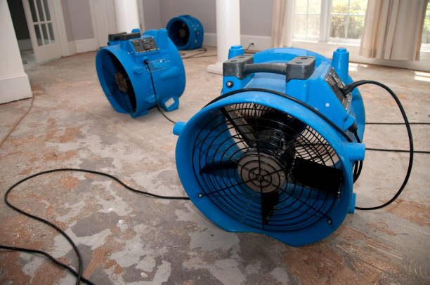 Best Local water damage restoration  in West Fairview, PA