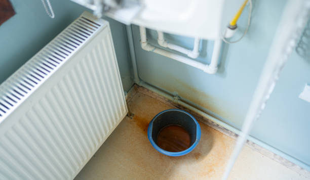 Best Carpet water damage restoration  in West Fairview, PA