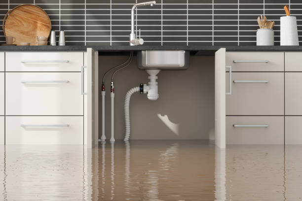 Best Flood restoration services  in West Fairview, PA