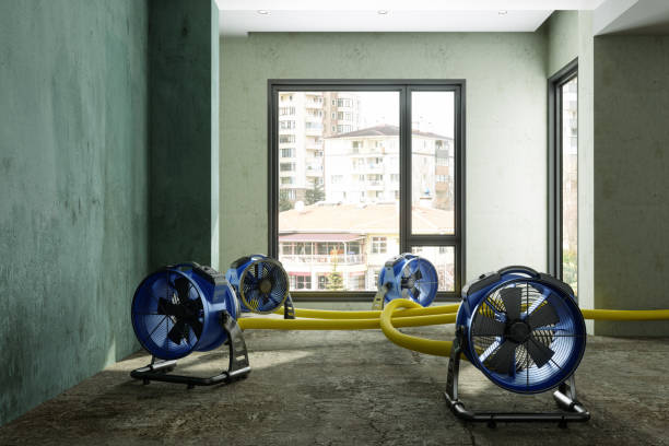 Best Commercial water damage restoration  in West Fairview, PA
