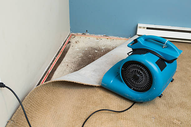 Best Ceiling water damage repair  in West Fairview, PA